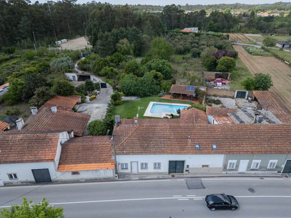 Quinta T5 para Venda em Oliveira do Bairro Foto 56