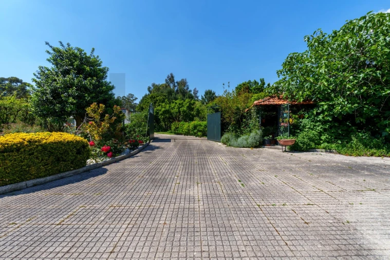 Quinta T5 para Venda em Oliveira do Bairro Foto 27