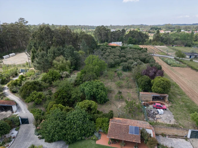 Quinta T5 para Venda em Oliveira do Bairro Foto 54