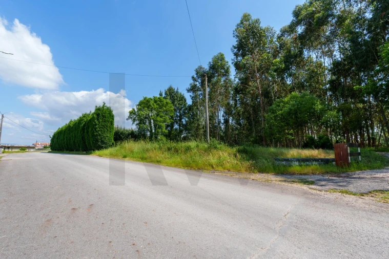 Quinta T5 para Venda em Oliveira do Bairro Foto 45