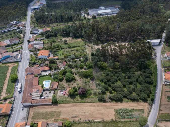 Quinta T5 para Venda em Oliveira do Bairro Foto 51