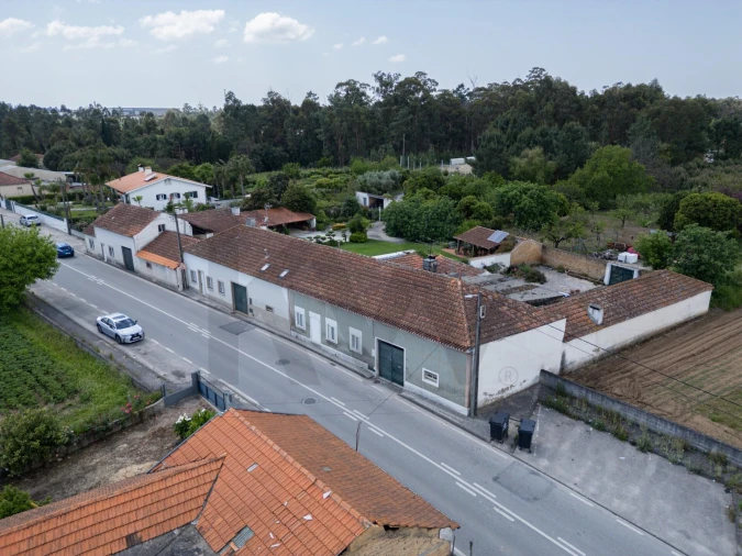 Quinta T5 para Venda em Oliveira do Bairro Foto 55