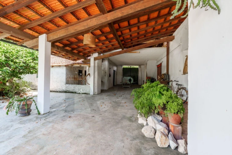 Quinta T5 para Venda em Oliveira do Bairro Foto 28