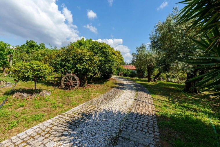 Quinta T5 para Venda em Oliveira do Bairro Foto 38