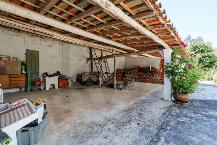 Quinta T5 para Venda em Oliveira do Bairro Foto 29