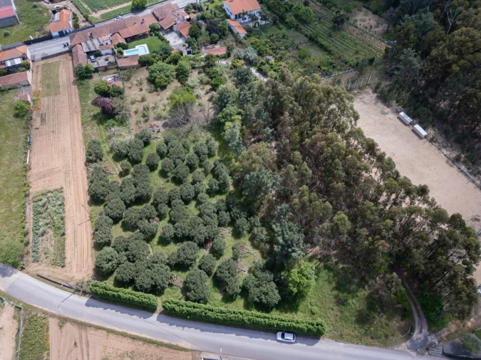 Quinta T5 para Venda em Oliveira do Bairro Foto 48