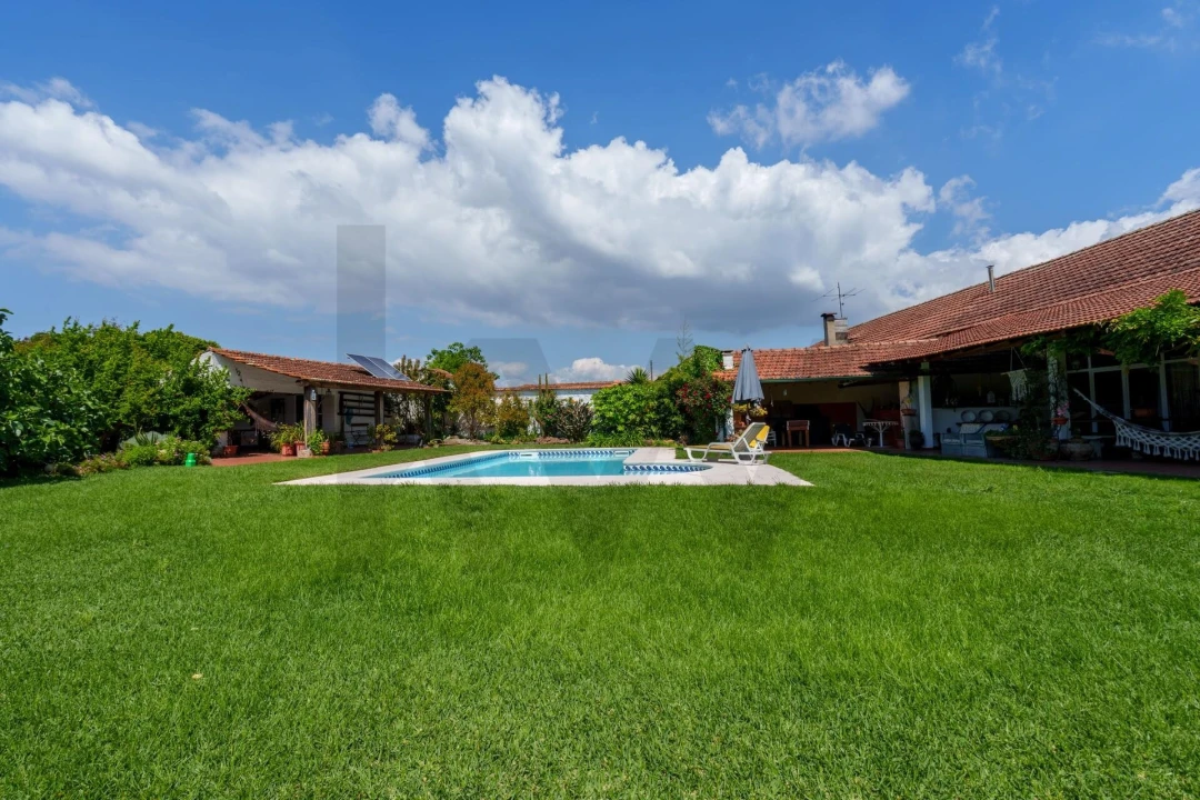 Quinta T5 para Venda em Oliveira do Bairro Foto 30