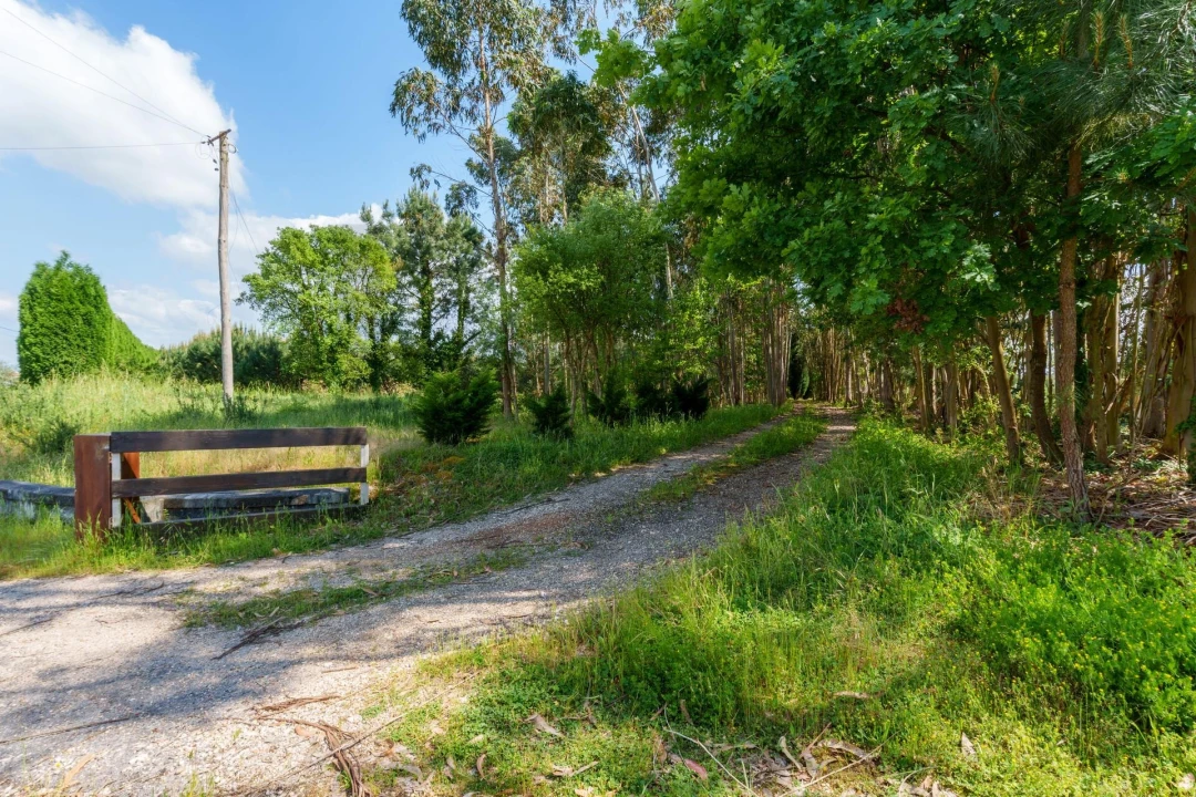 Quinta T5 para Venda em Oliveira do Bairro Foto 44