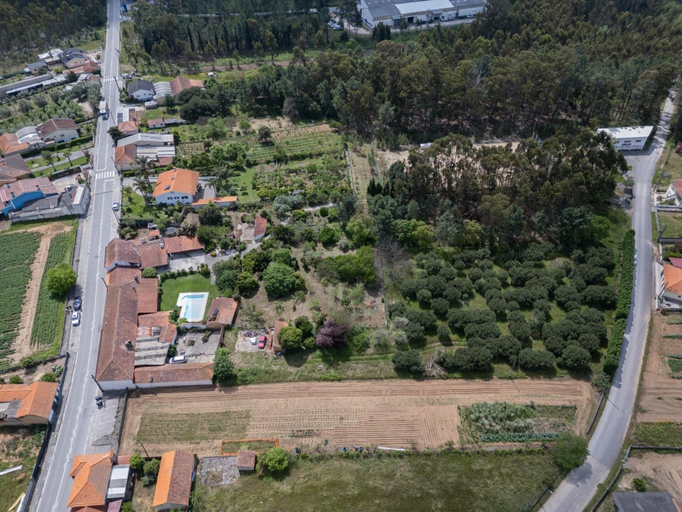 Quinta T5 para Venda em Oliveira do Bairro Foto 50