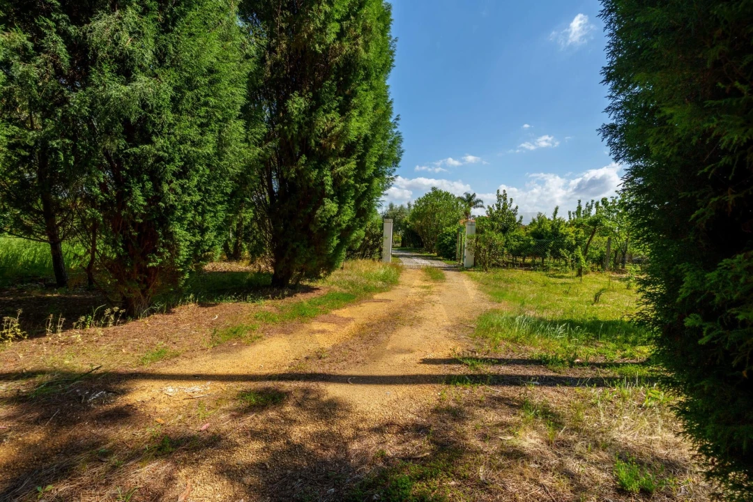 Quinta T5 para Venda em Oliveira do Bairro Foto 40