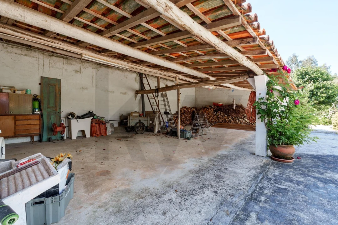 Quinta T5 para Venda em Oliveira do Bairro Foto 29