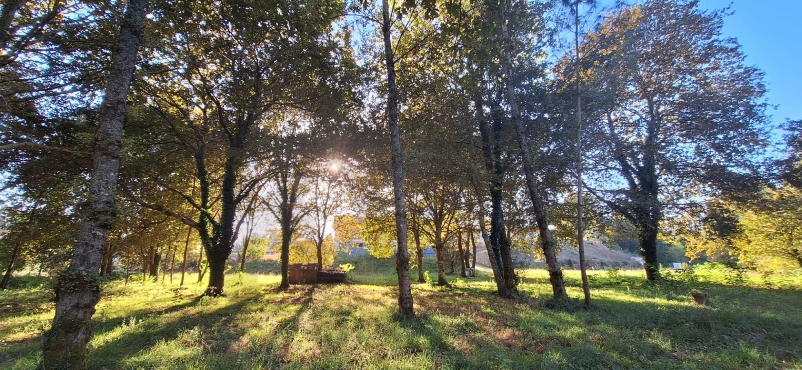 Moradia T4 para Venda em O. Azeméis, Riba-Ul, Ul, Macinhata Seixa, Madail Foto 44