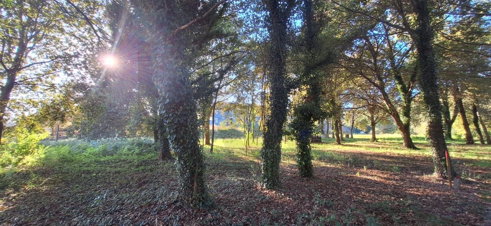 Moradia T4 para Venda em O. Azeméis, Riba-Ul, Ul, Macinhata Seixa, Madail Foto 42