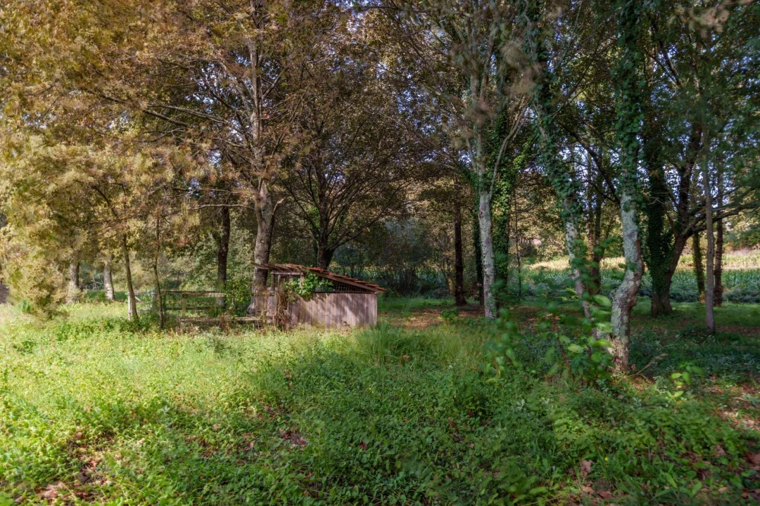 Moradia T4 para Venda em O. Azeméis, Riba-Ul, Ul, Macinhata Seixa, Madail Foto 7