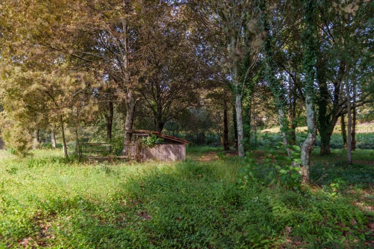 Moradia T4 para Venda em O. Azeméis, Riba-Ul, Ul, Macinhata Seixa, Madail Foto 7