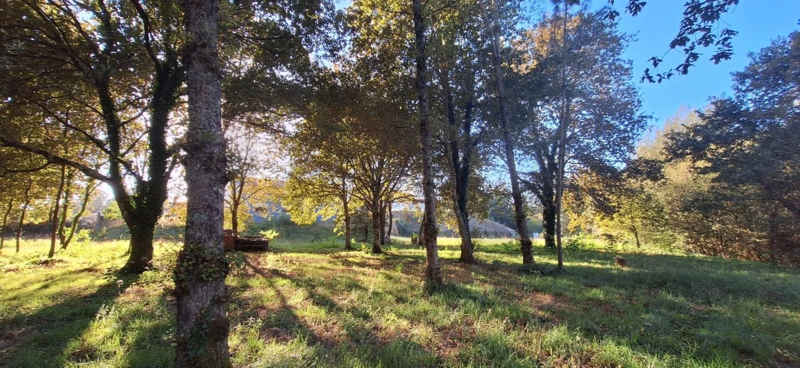 Moradia T4 para Venda em O. Azeméis, Riba-Ul, Ul, Macinhata Seixa, Madail Foto 43