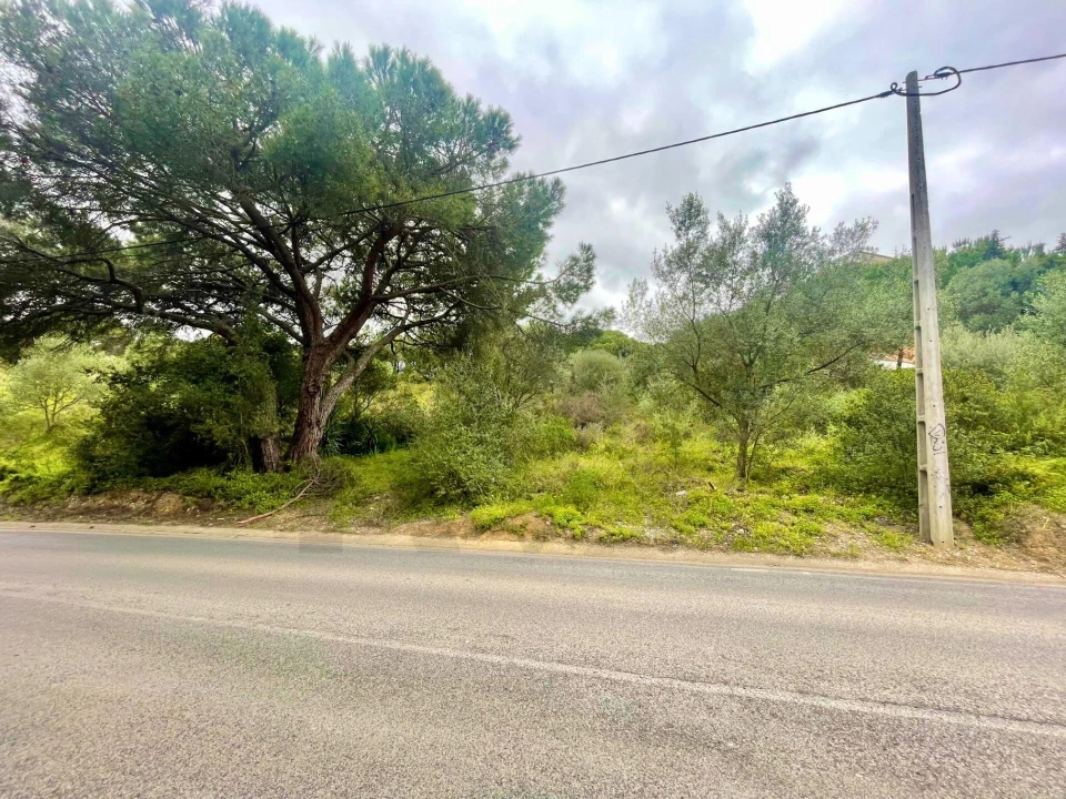 Terreno para Venda em Cascais e Estoril Foto 8
