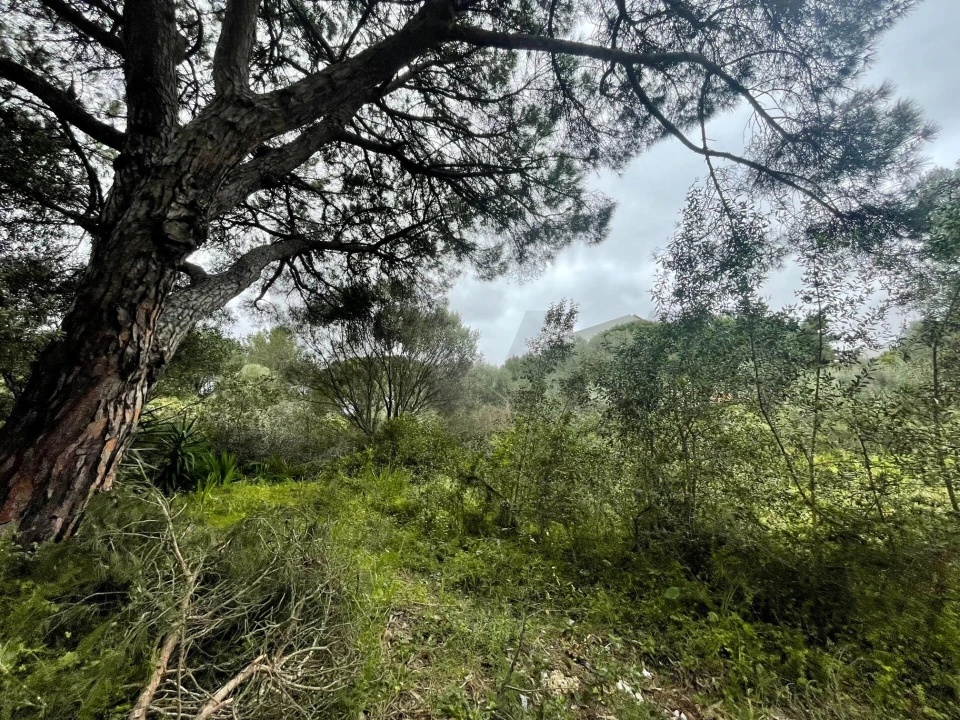Terreno para Venda em Cascais e Estoril Foto 2