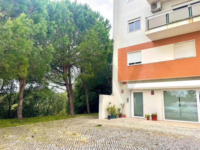 Terreno para Venda em Cascais e Estoril Foto 4