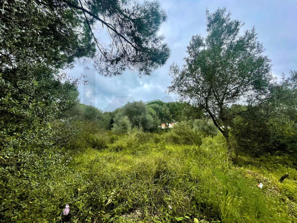 Terreno para Venda em Cascais e Estoril Foto 6