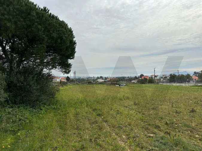 Terreno para Venda em Santa Maria e São Miguel, São Martinho, São Pedro Penaferrim Foto 12