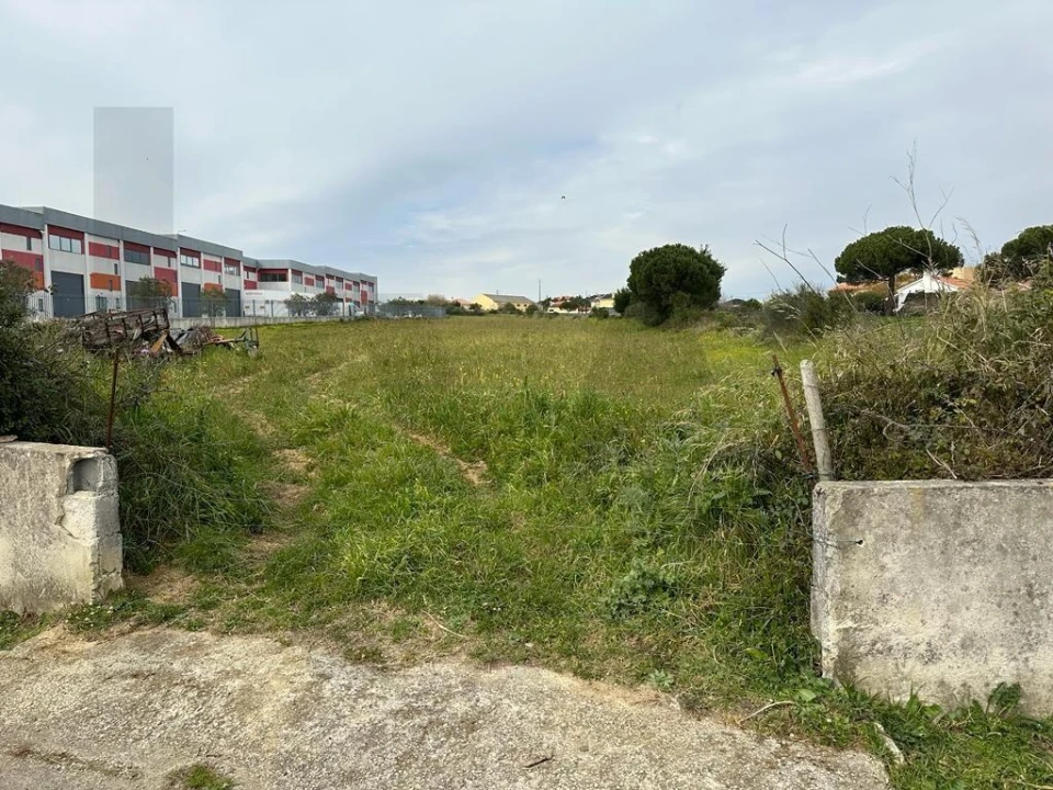 Terreno para Venda em Santa Maria e São Miguel, São Martinho, São Pedro Penaferrim Foto 7