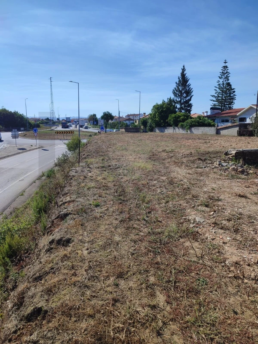 Terreno para Venda em Albergaria-A-Velha e Valmaior Foto 1