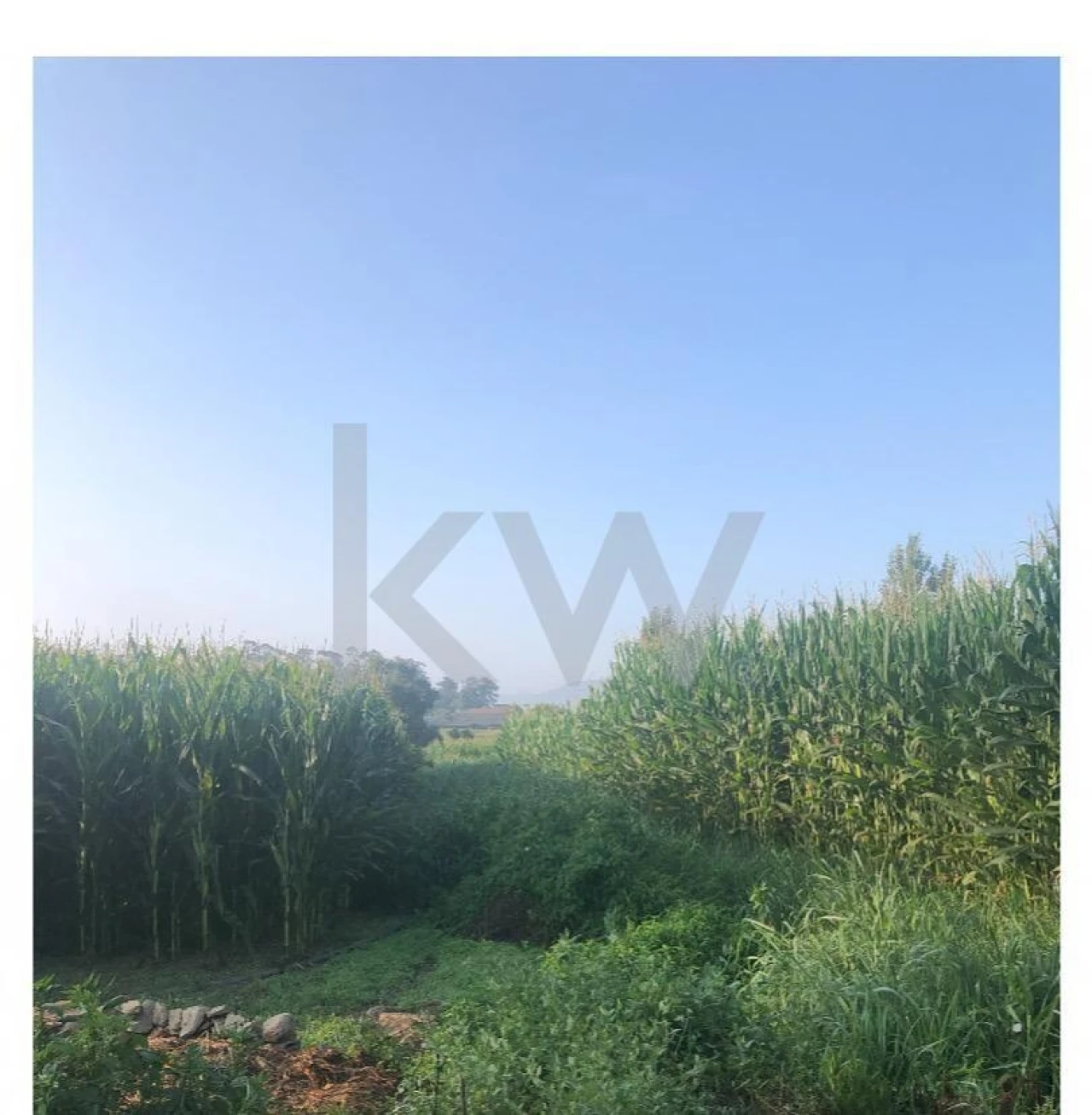 Quinta T5 para Venda em Fradelos Foto 51