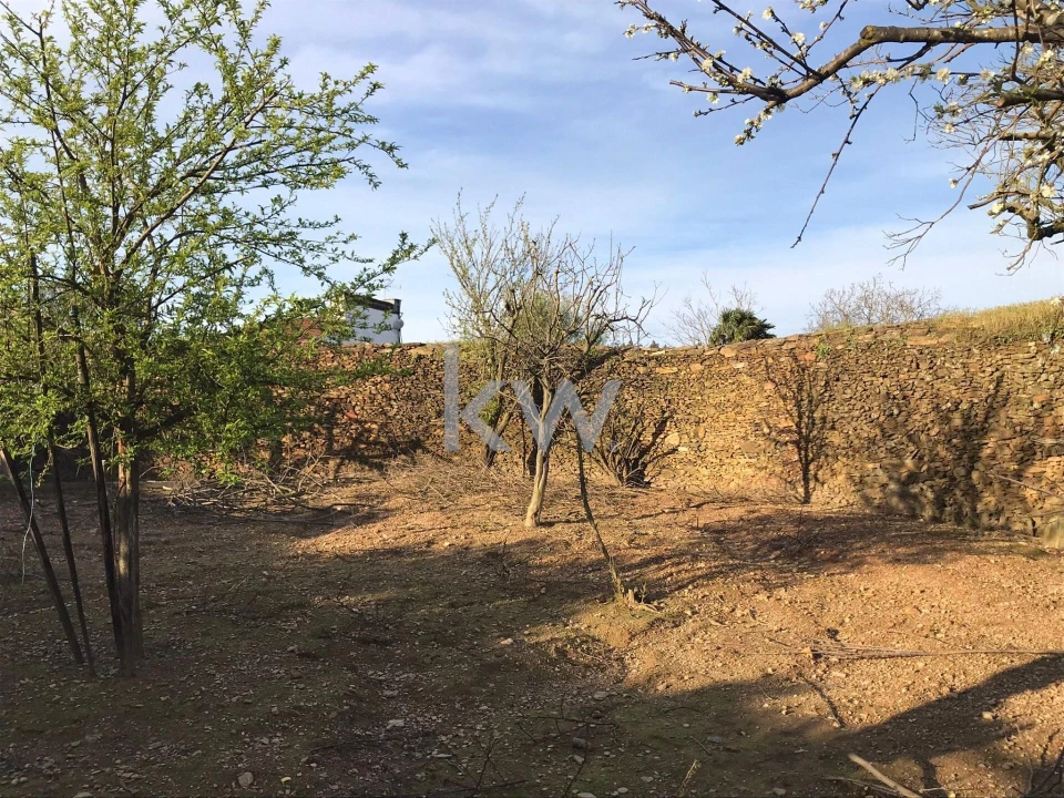 Quinta T5 para Venda em Fradelos Foto 33