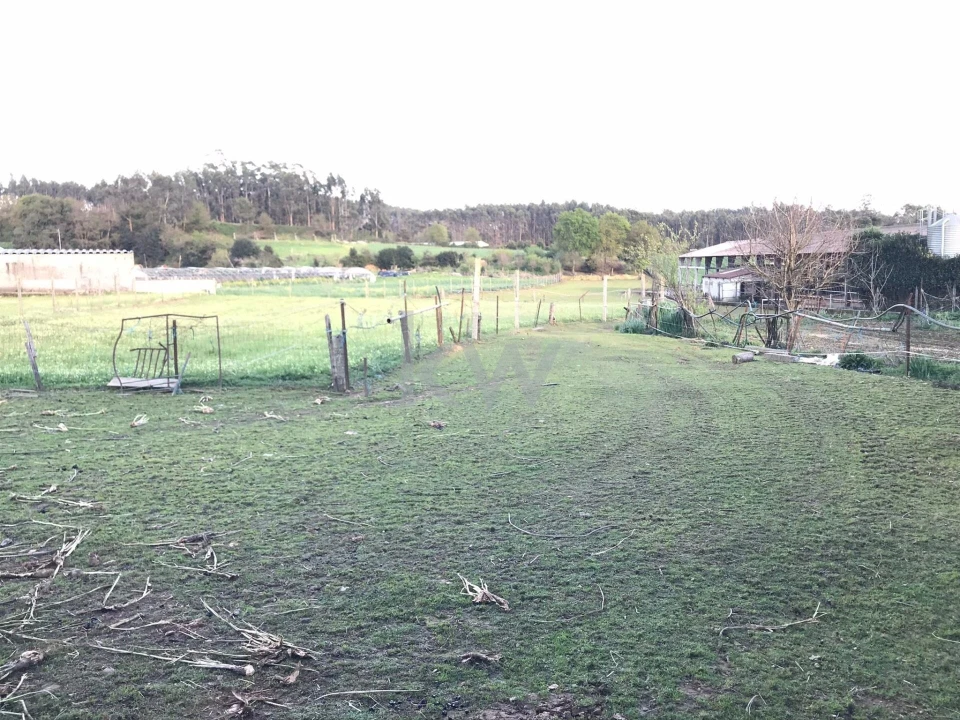 Quinta T5 para Venda em Fradelos Foto 34