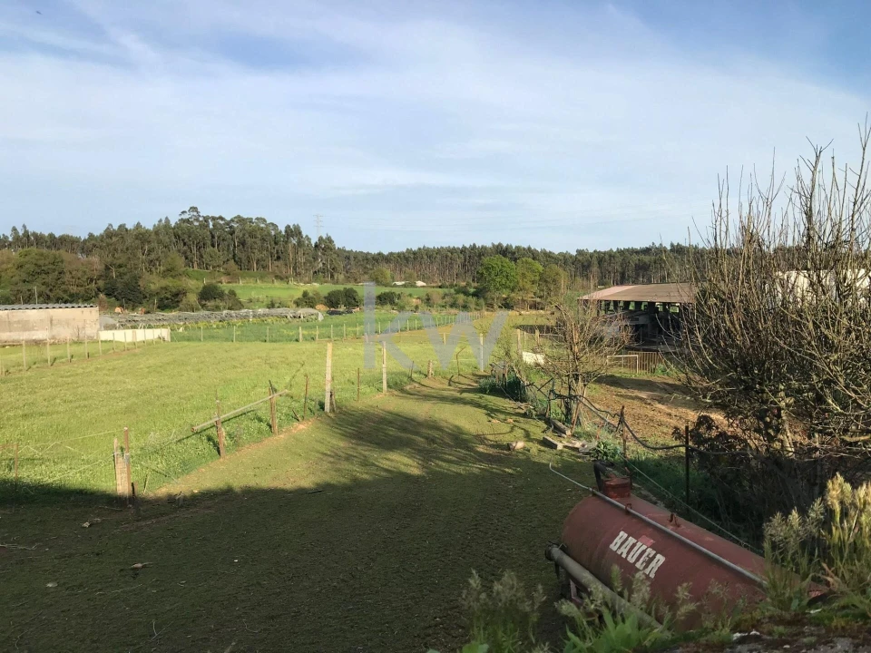 Quinta T5 para Venda em Fradelos Foto 36