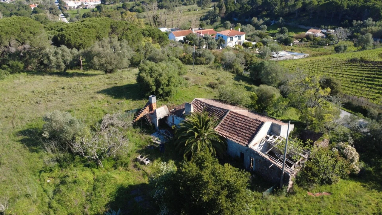 Terreno para Venda em Azeitão (São Lourenço e São Simão) Foto 3