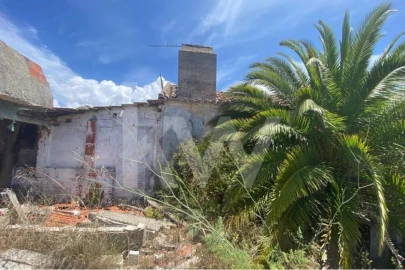 Terreno para Venda em Azeitão (São Lourenço e São Simão)
