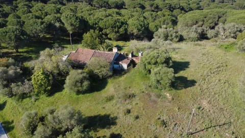 Terreno para Venda em Azeitão (São Lourenço e São Simão)