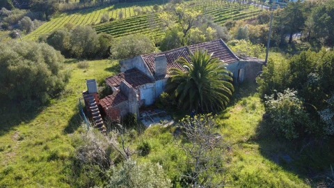 Terreno para Venda em Azeitão (São Lourenço e São Simão)