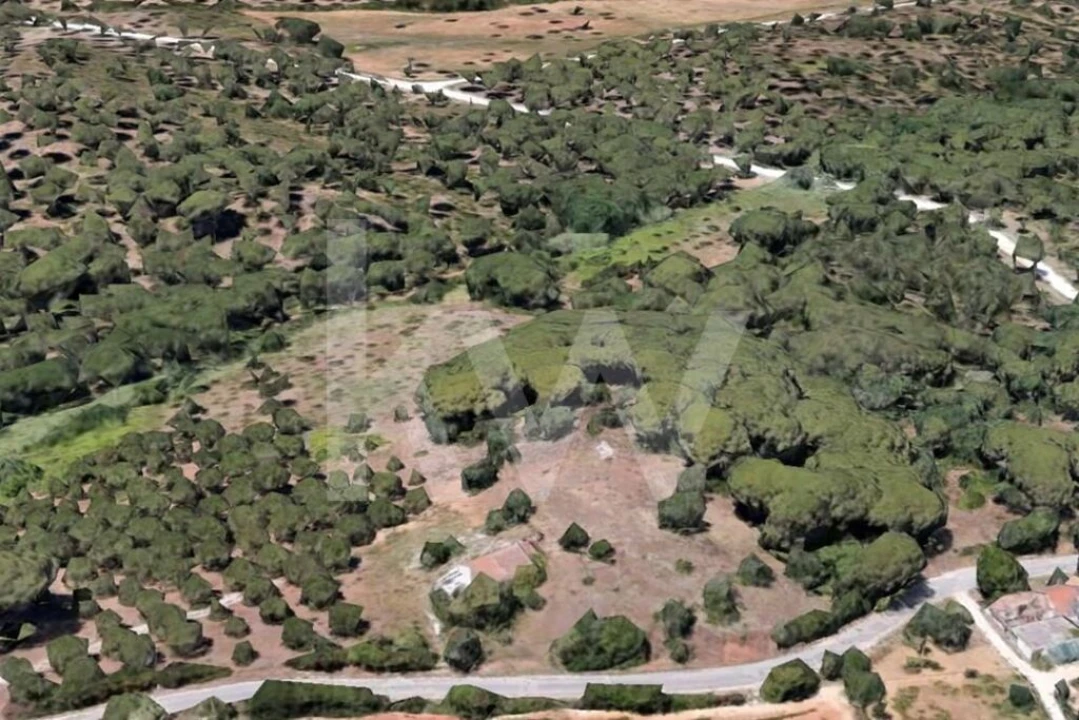 Terreno para Venda em Azeitão (São Lourenço e São Simão) Foto 1
