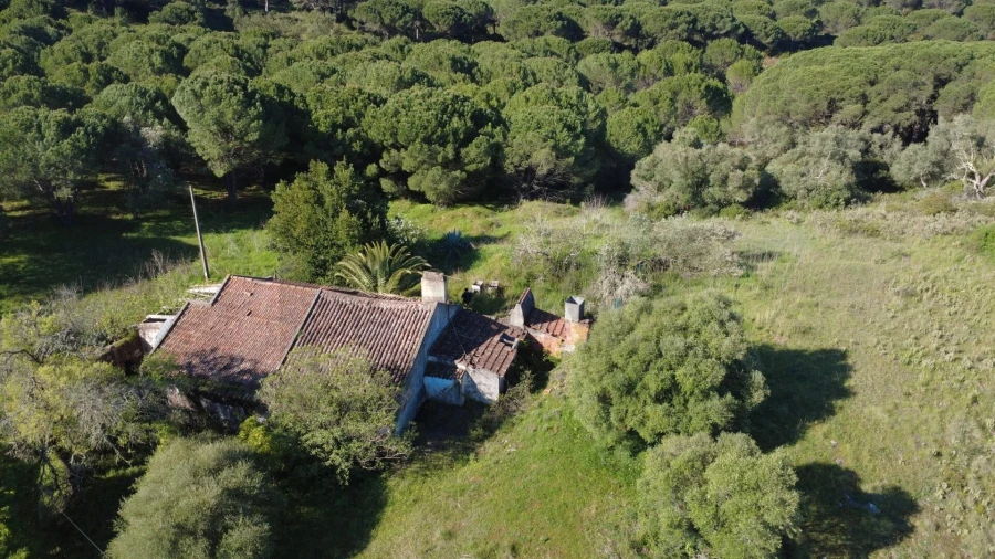 Terreno para Venda em Azeitão (São Lourenço e São Simão) Foto 6