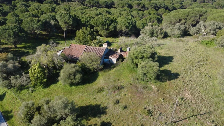 Terreno para Venda em Azeitão (São Lourenço e São Simão) Foto 4