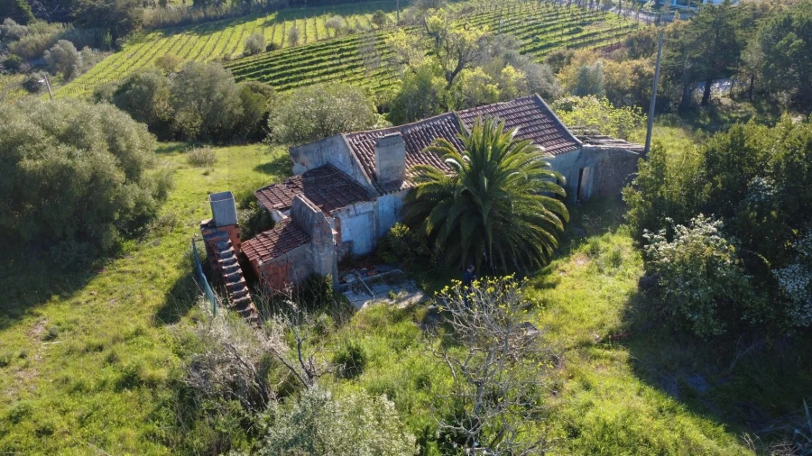 Terreno para Venda em Azeitão (São Lourenço e São Simão) Foto 2