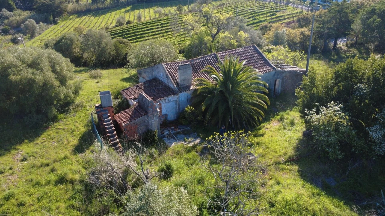 Terreno para Venda em Azeitão (São Lourenço e São Simão) Foto 2