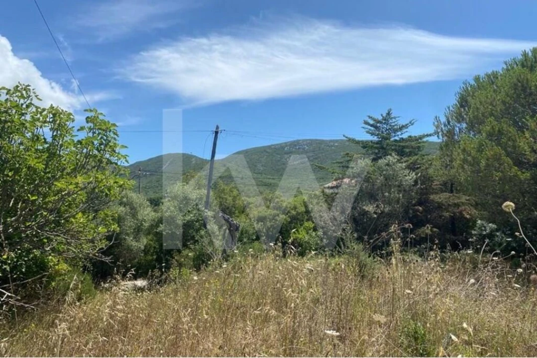 Terreno para Venda em Azeitão (São Lourenço e São Simão) Foto 3