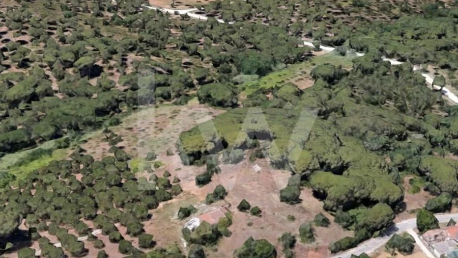 Quinta T4 para Venda em Azeitão (São Lourenço e São Simão)