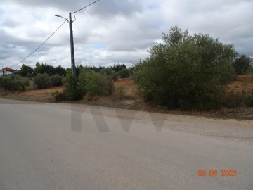 Terreno para Venda em Azambujeira e Malaqueijo