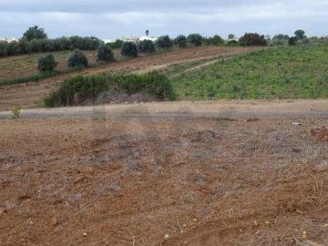 Terreno para Venda em Azambujeira e Malaqueijo