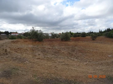 Terreno para Venda em Azambujeira e Malaqueijo