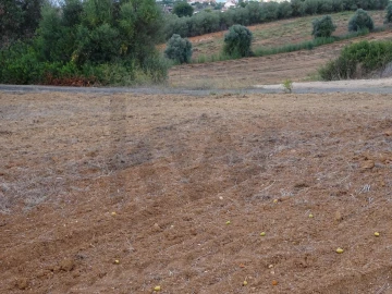 Terreno para Venda em Azambujeira e Malaqueijo