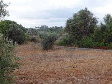 Terreno para Venda em Azambujeira e Malaqueijo
