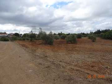 Terreno para Venda em Azambujeira e Malaqueijo