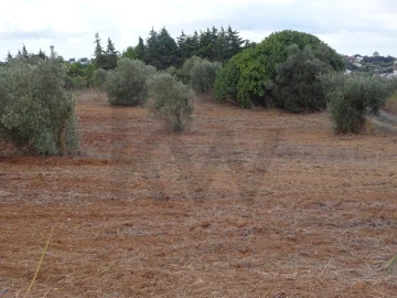 Terreno para Venda em Azambujeira e Malaqueijo
