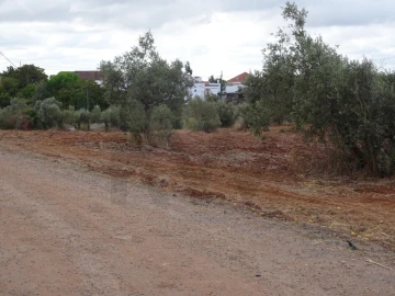 Terreno para Venda em Azambujeira e Malaqueijo